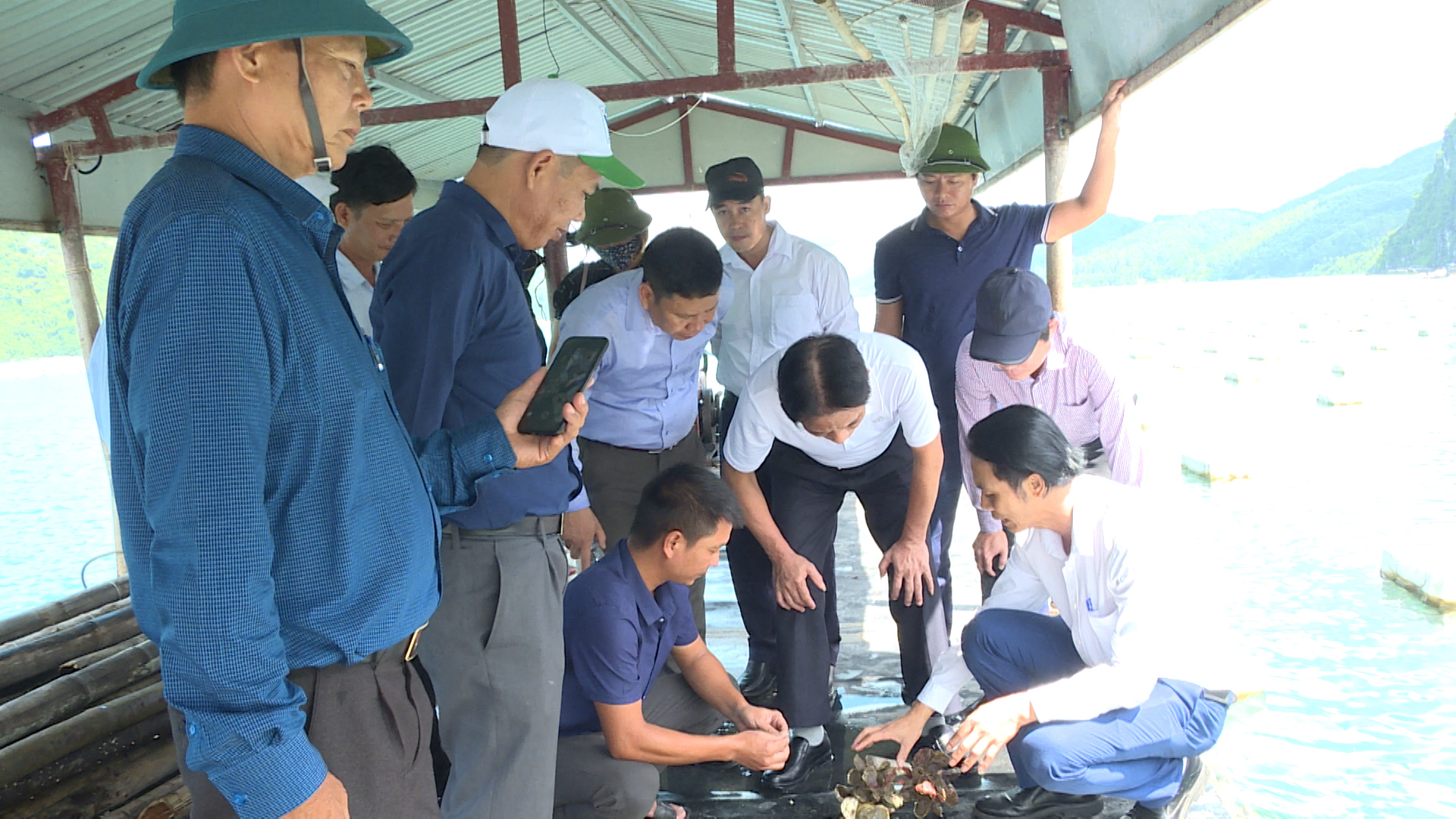 Sở NN & PTN tỉnh Ninh Bình khảo sát vùng nuôi nhuyễn thể tại huyện Vân Đồn