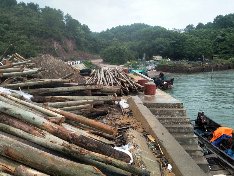 Người dân xã Vĩnh Trung chuẩn bị cọc gỗ, cọc tre để quây bãi, chằng bè nuôi trồng thủy sản.