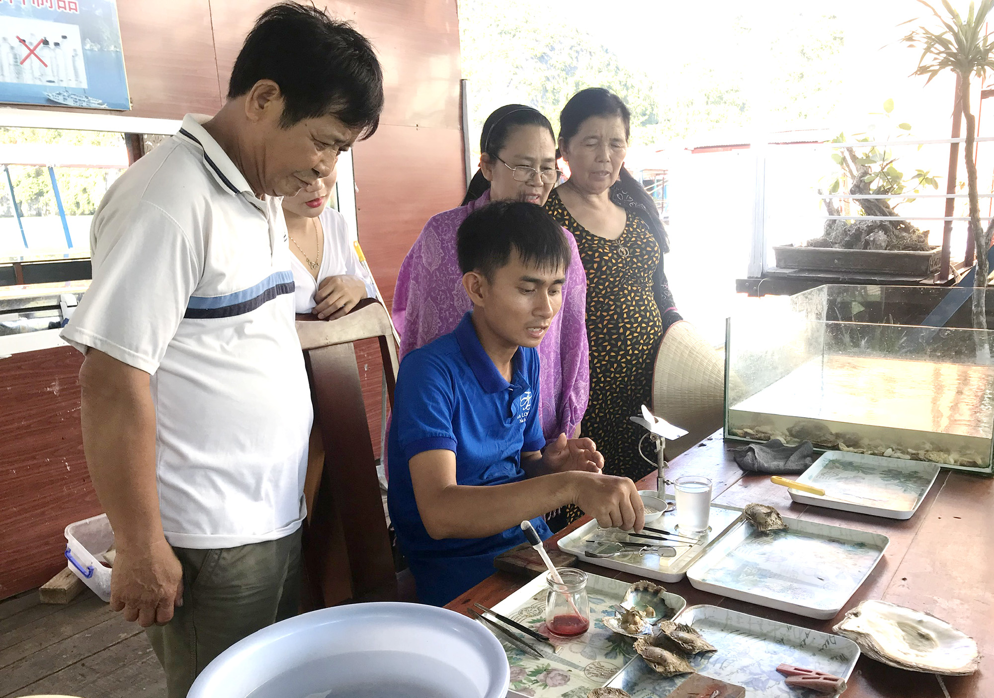 Nhân viên Công ty CP Ngọc trai Hạ Long hướng dẫn cách nuôi cấy ngọc cho du khách tham quan. 
