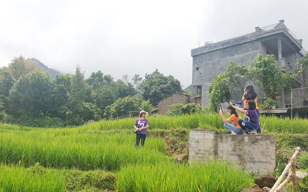 Du khách bốn phương đang ngắm, chụp hình với ruộng bậc thang tại xã Lục Hồn, huyện Bình Liêu