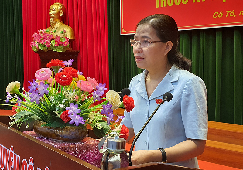 Đồng chí Đỗ Thị Lan, Đại biểu Quốc hội tỉnh phát biểu tại buổi tiếp cử tri.