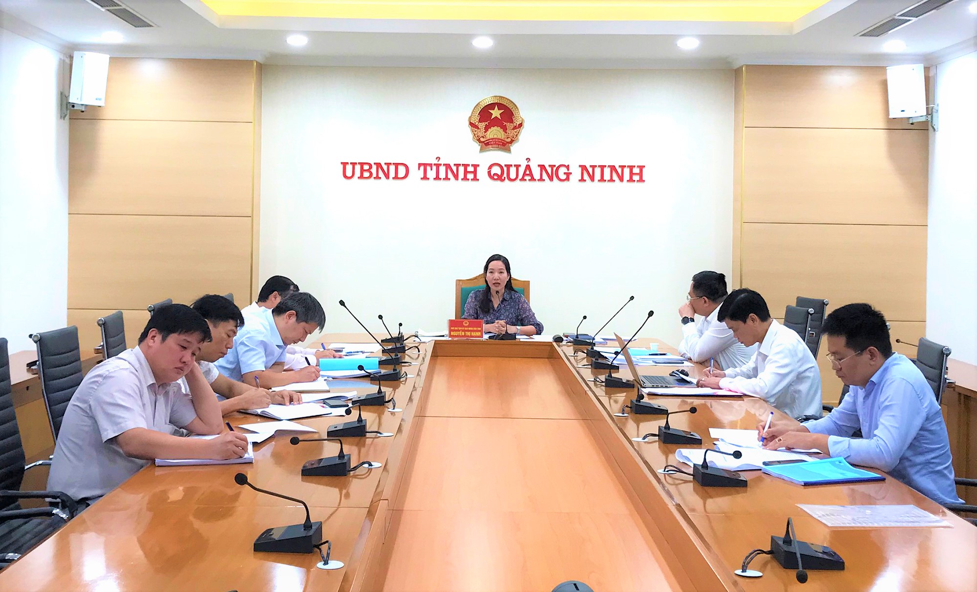 Đồng chí Nguyễn Thị Hạnh, Phó Chủ tịch UBND tỉnh dự và chỉ đạo cuộc họp. 