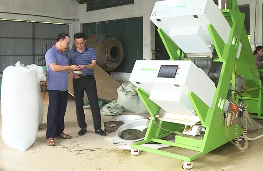 Anh Trần Sỹ Dũng (phía phải) mới đầu tư máy tách chè khô hiện đại để tăng năng xuất.