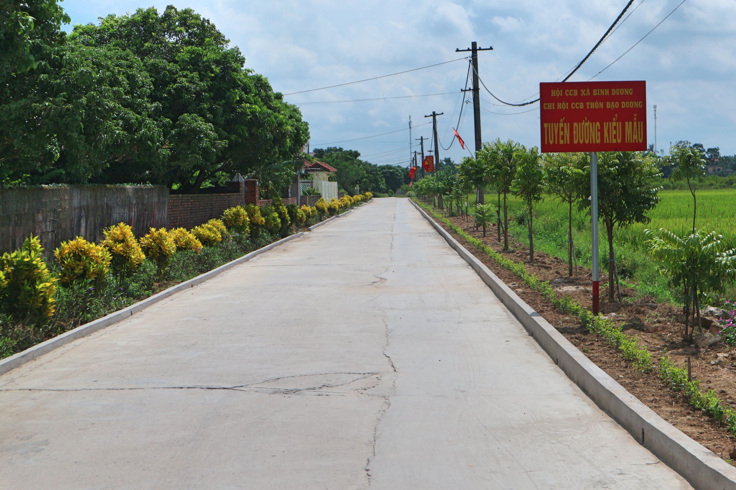 Tuyến đường kiểu mẫu ở thôn Đạo Dương khang trang, sạch đẹp