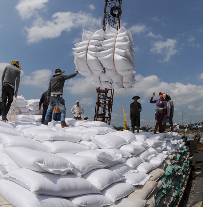 Trong 9 tháng, xuất khẩu gạo đạt 2,5 tỉ USD, tăng 12% so cùng kỳ năm ngoái ẢNH: TRẦN THANH PHONG