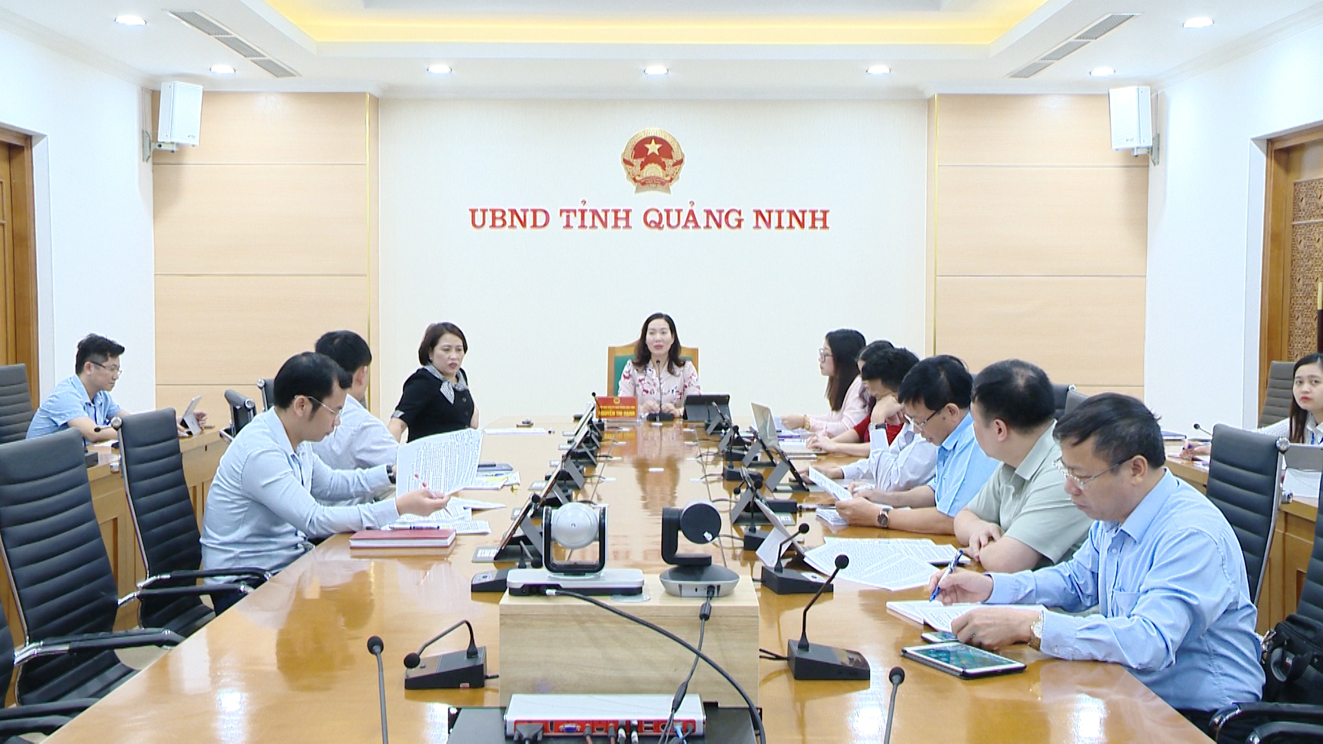 Đồng chí Nguyễn Thị Hạnh, Phó chủ tịch UBND tỉnh phát biểu kết luận hội nghị