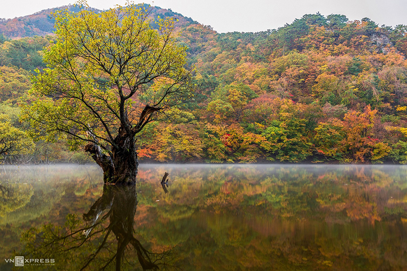 Rừng cây soi bóng trên mặt hồ Jusanji khiến du khách ngỡ như lạc vào miền cổ tích ở Vườn quốc gia Juwangsan, huyện Budong, tỉnh Gyeongsang Bắc. Không gian nơi đây tĩnh lặng, thích hợp cho những chuyến đi thuyền ngắm cảnh.