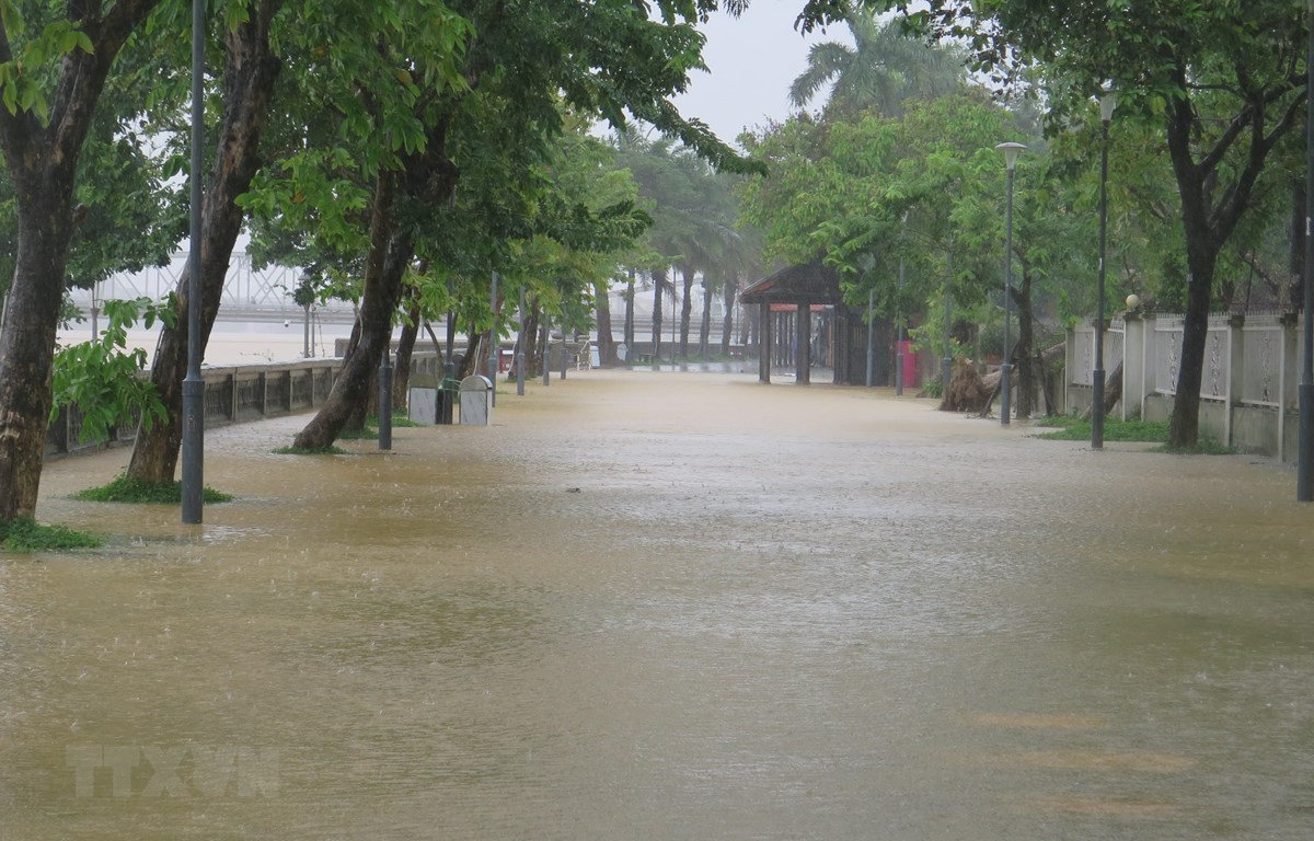 Nhiều tuyến đường tại thành phố Huế bị ngập. (Ảnh: Tường Vi/TTXVN)