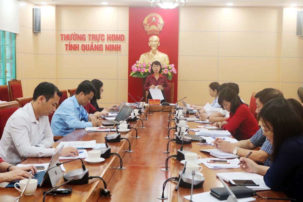 Đồng chí Trần Thị Thu Hoài, Trưởng Ban Văn hóa - Xã hội HĐND tỉnh phát biểu tại buổi giám sát.