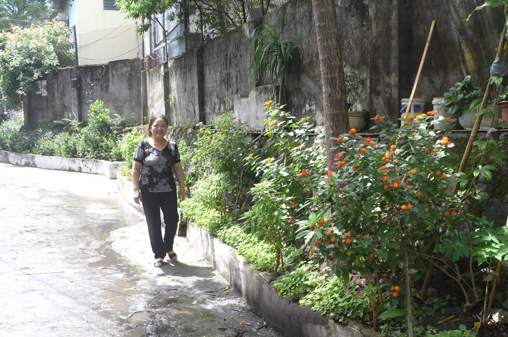 Bà Đinh Thị Loan cải tạo nơi tập kết rác thành con đường hoa.
