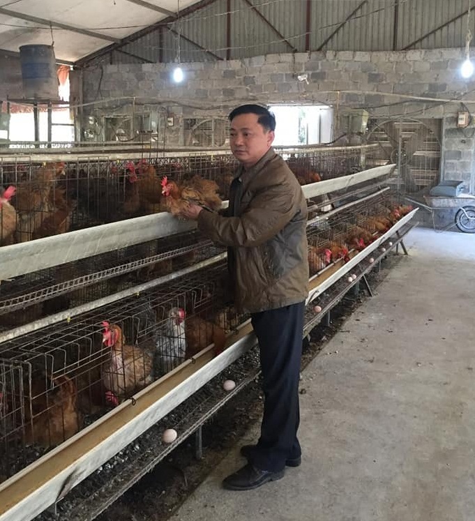 Ông Lý Văn Diểng chăm sóc đàn gà.