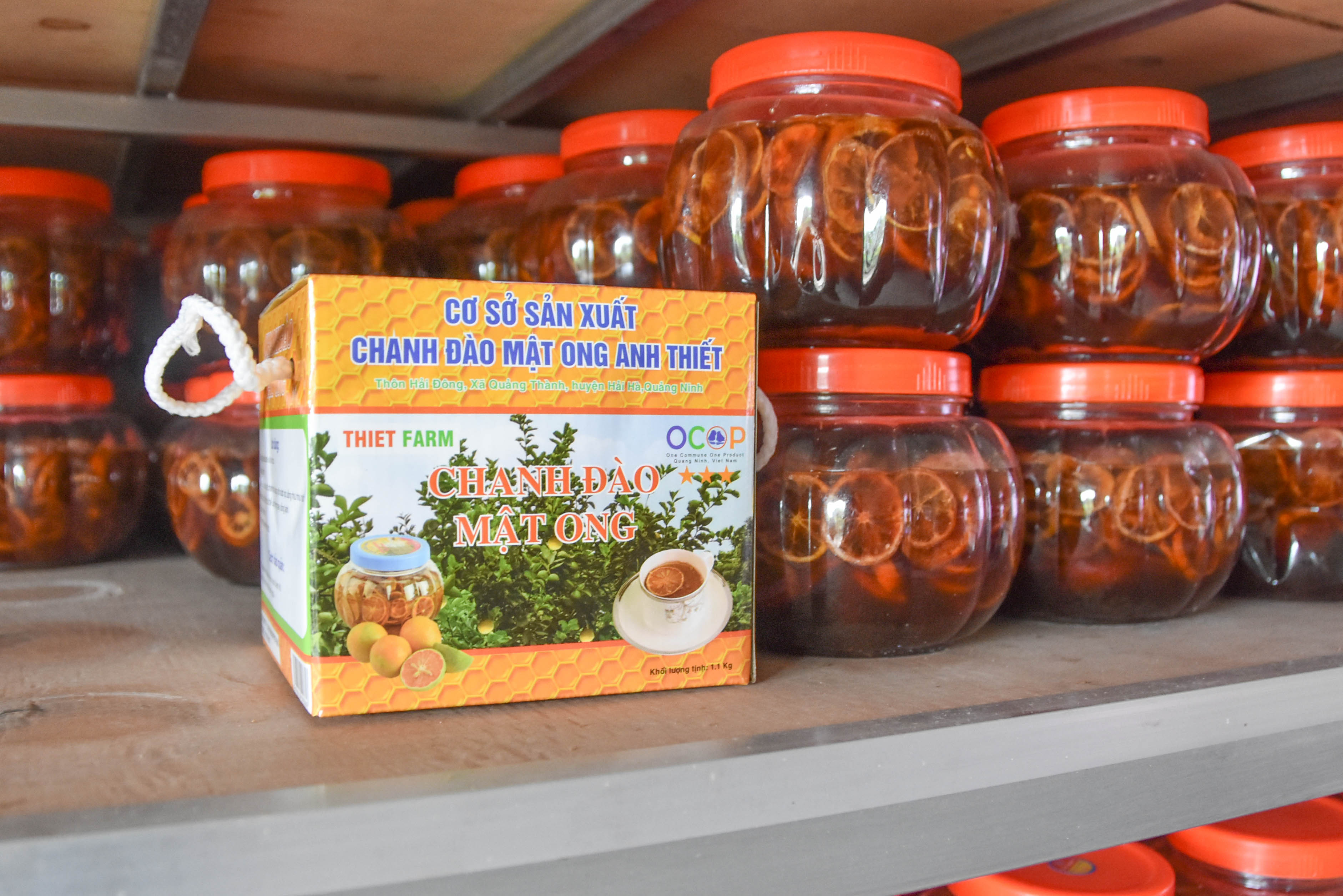 Chanh đào mật ong là một trong những sản phẩm OCOP nổi bật của huyện Hải Hà.