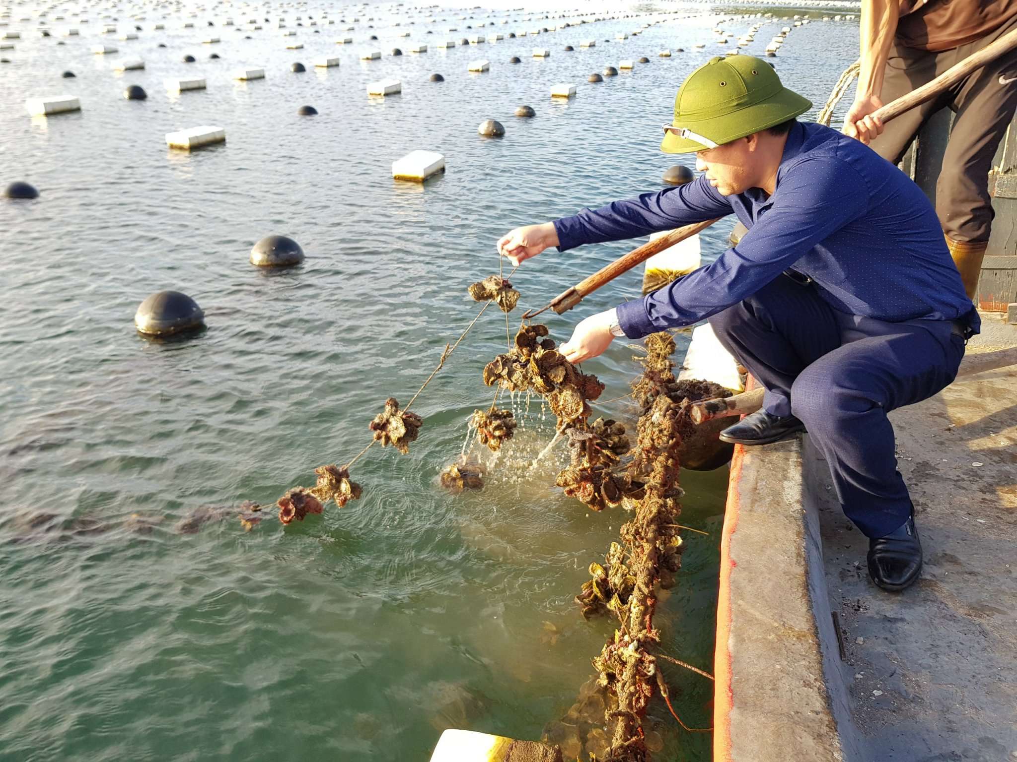Lãnh đạo Chi cục Thủy sản, Sở NN&PTNT, kiểm tra tình hình nuôi trồng thủy sản của người dân tại Vân Đồn.
