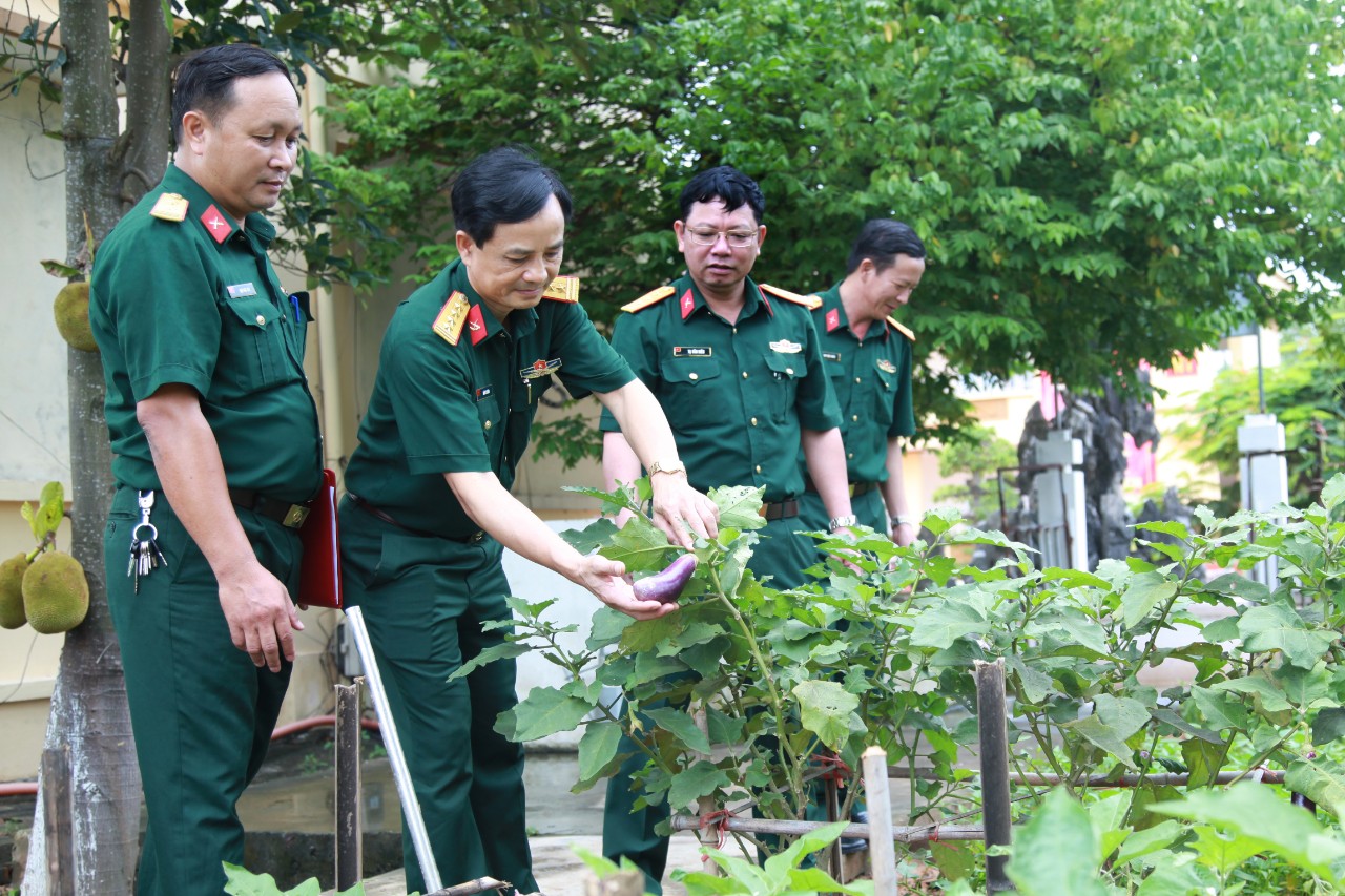 Khu vườn rau của Ban CHQS TP Hạ Long luôn có từ 6-8 loại rau xanh và rau gia vị.