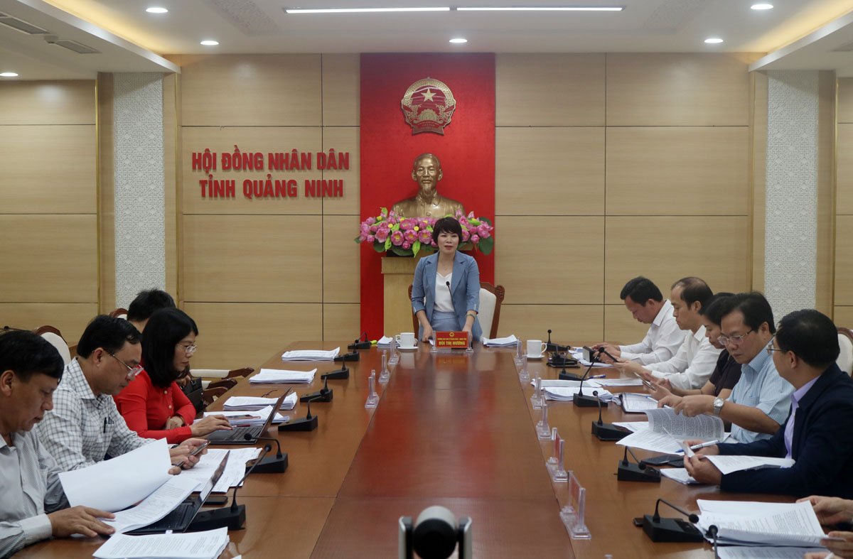 Đồng chí Bùi Thị Hương, Trưởng Ban Kinh tế - Ngân sách HĐND tỉnh phát biểu kết luận cuộc họp.