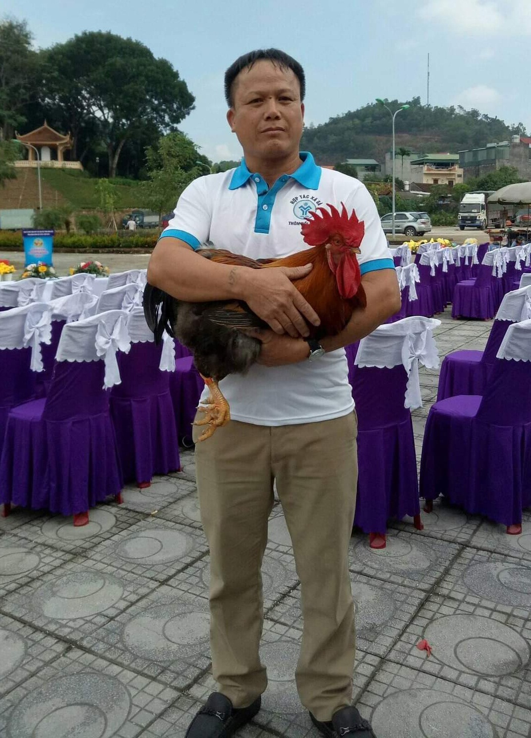 Chú gà của HTX Đồi Mây, xã Hải Lạng vượt qua hàng trăm thí sinh gà khác để đăng quang danh hiệu Vua gà