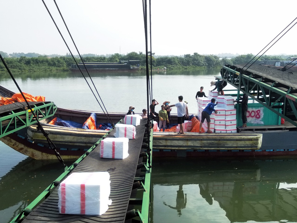 Xuất khẩu hàng hóa tại Cảng Hoàng Tiến, phường Hải Hòa, TP Móng Cái.