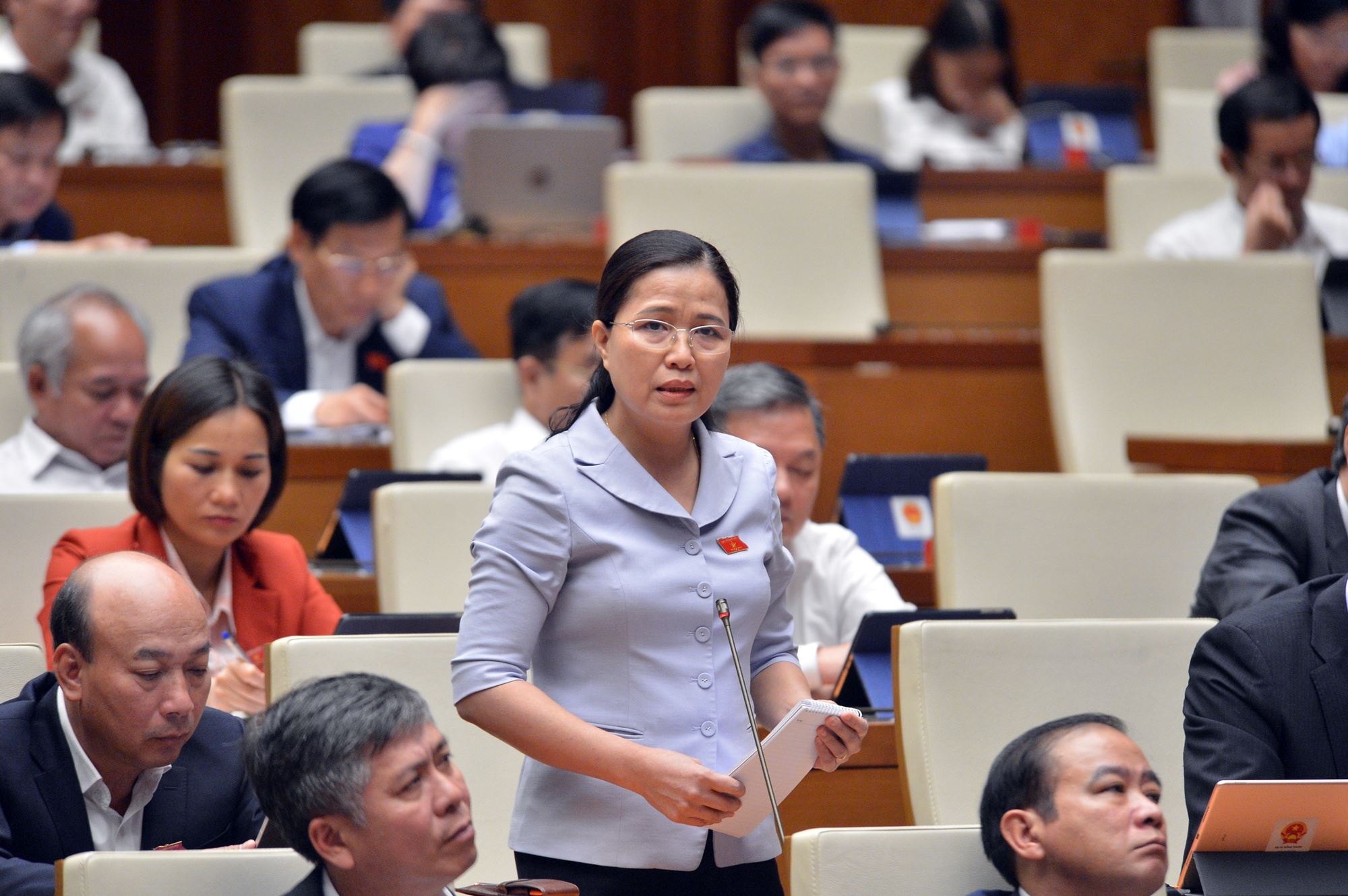 Đại biểu Đỗ Thị Lan, Ủy viên Thường trực Ủy ban về các vấn đề xã hội của Quốc hội khóa XIV, ĐBQH tỉnh Quảng Ninh đã chất vấn thành viên Chính phủ về vấn đề đầu tư kè biên giới.