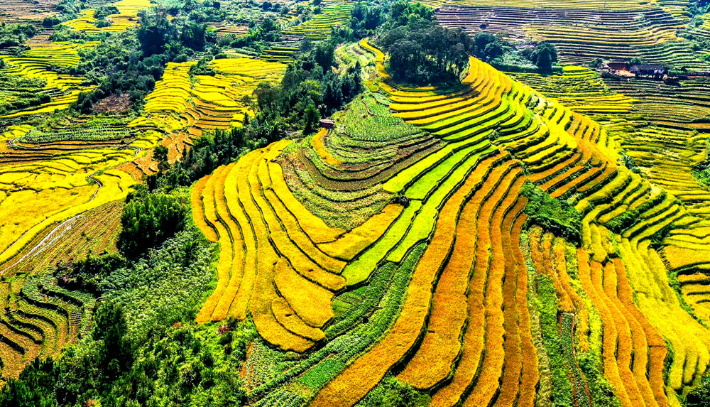 Ruộng bậc thang xã Lục Hồn, huyện Bình Liêu nhìn từ trên dù lượn - Ảnh: Đỗ Phương