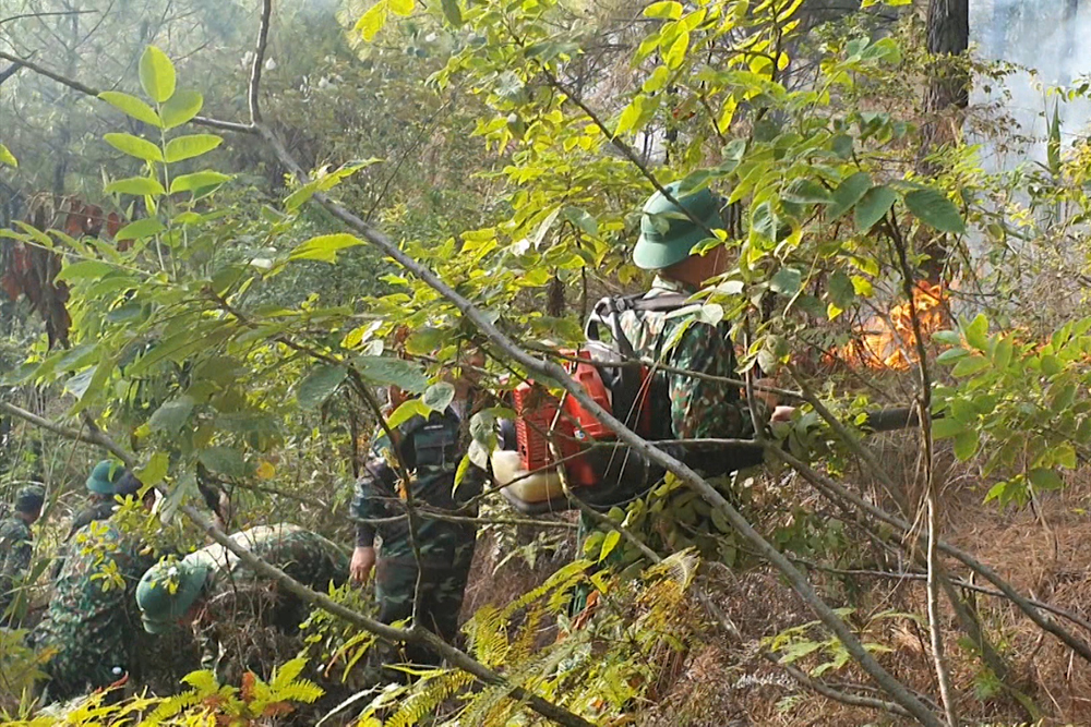 Các lực lượng tham gia chữa cháy rừng.