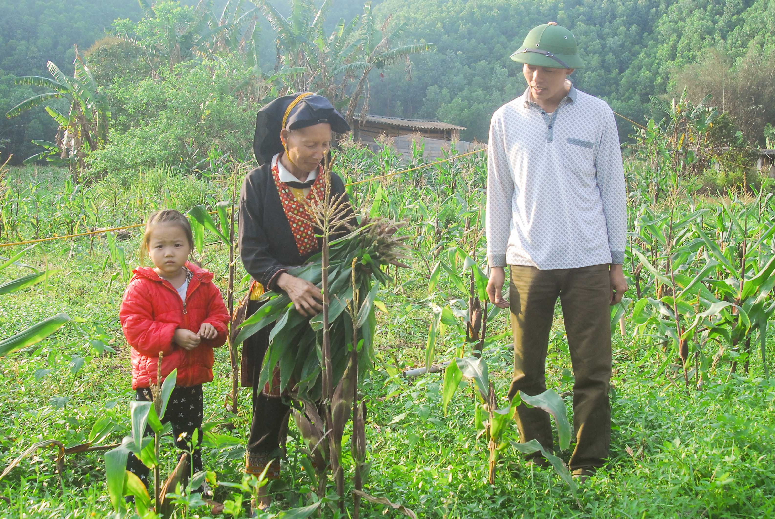 Cán bộ thôn Đồng Trà (xã Đồng Lâm, TP Hạ Long) nắm tình hình đời sống, sản xuất của người dân thôn.