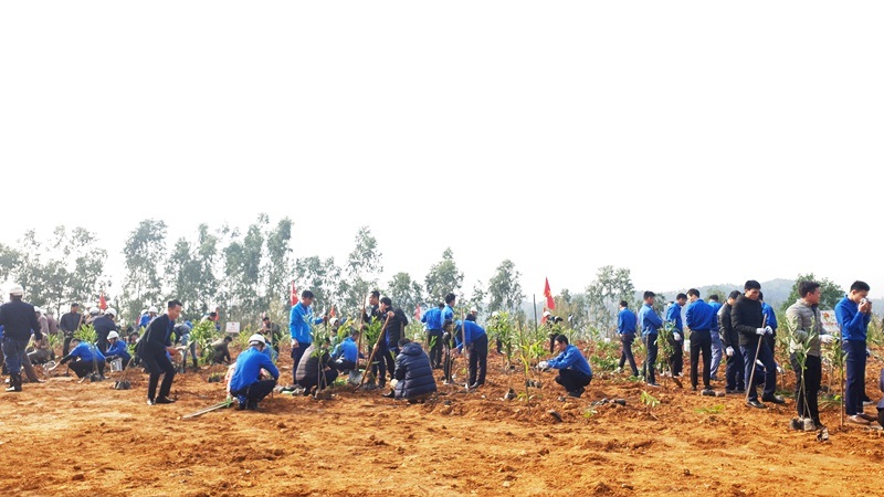 ĐVTN cùng các đại biểu đã ra quân trồng 2.500 cây keo tai tượng tại mặt bằng +72, khai trường Hồng Thái, Công ty Than Uông Bí.