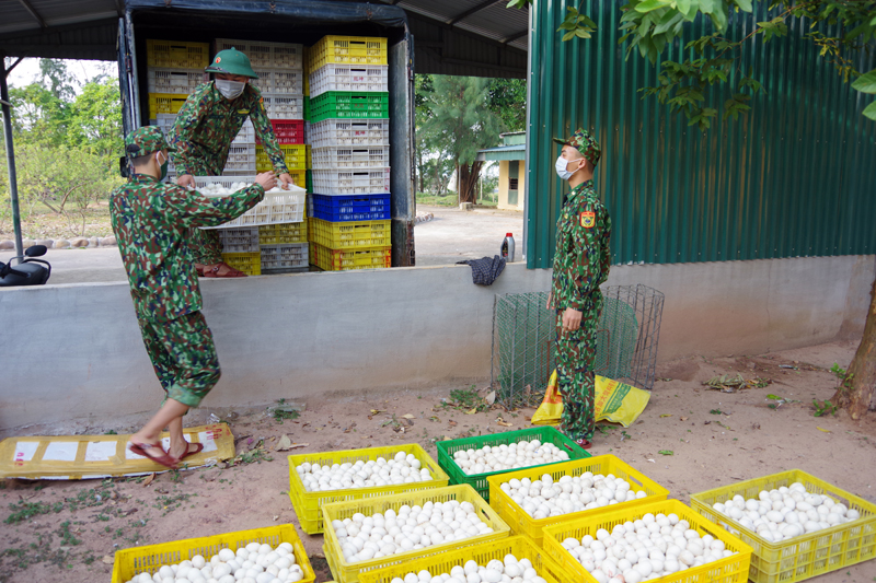 Cùng với gia cầm giống, lực lượng chức năng cũng bắt giữ hàng chục nghìn quả trứng gia cầm được vận chuyển trái phép qua biên giới vào Việt Nam.