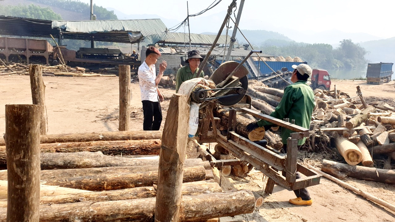Chế biến dăm gỗ tại CCN Nam Sơn.