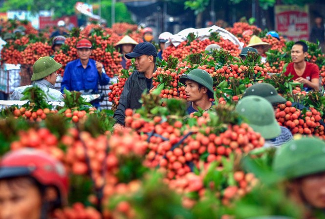 Các ngành viễn thông, công nghệ thông tin, dệt may, giày dép và nông nghiệp là những lĩnh vực Việt Nam hưởng lợi khi tham gia RCEP