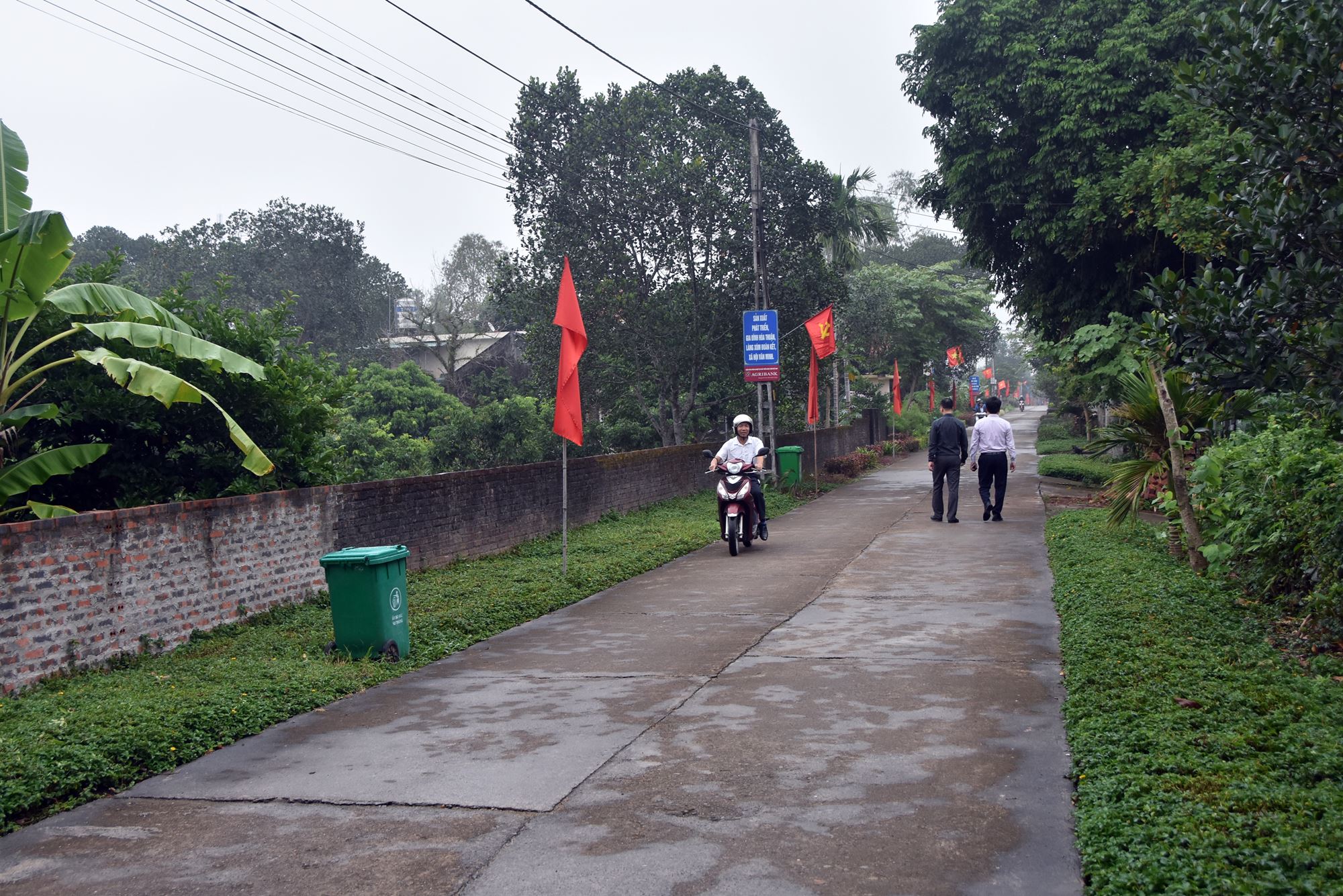 Tuyến đường thôn Hải Sơn, xã Quảng Thành sáng xanh sạch đẹp, phục vụ đi lại an toàn của nhân dân