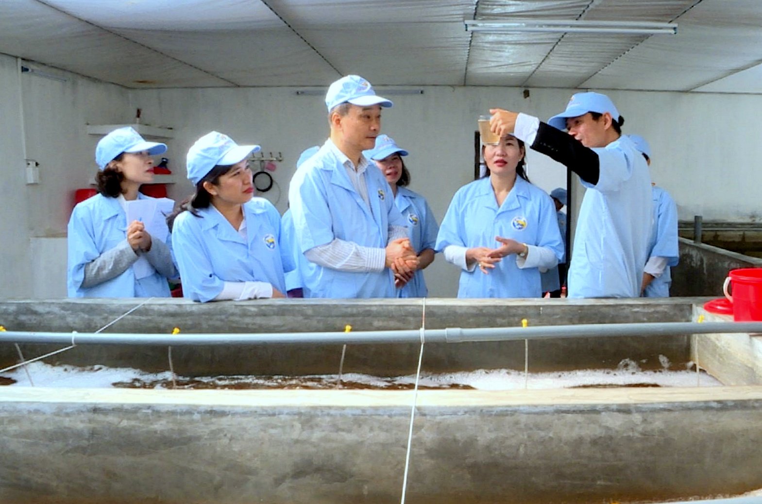 Đồng chí Vũ Hồng Thanh thăm Khu phức hợp sản xuất tôm chất lượng cao của Tập đoàn Việt Úc tại xã Tân Lập.