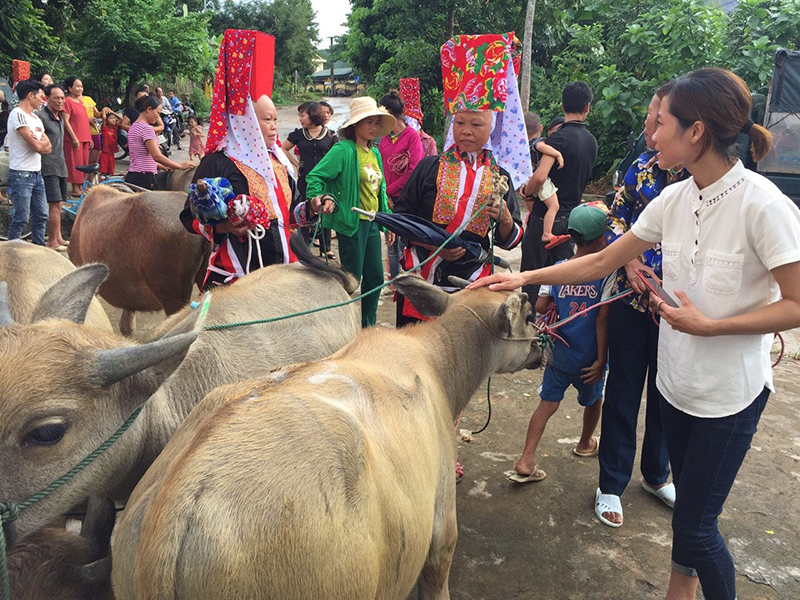 Phụ nữ xã Quảng Lâm, huyện Đầm Hà, nhận trâu giống sinh sản do Hội LHPN tỉnh hỗ trợ.