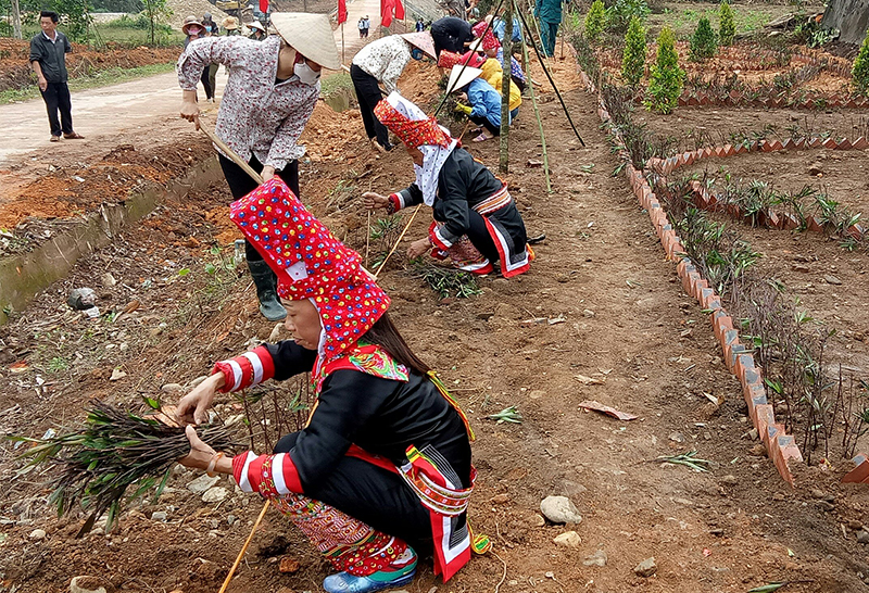 Nhân dân xã Quảng Lâm, huyện Đầm Hà hăng hái tham gia trồng hoa hai bên đường liên xã. 