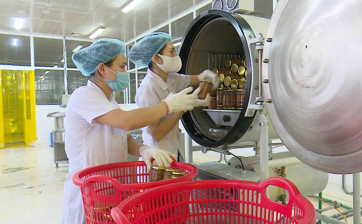 Hệ thống quản lý vệ sinh an toàn thực phẩm được Công ty TNHH Sản xuất và Thương mại Thủy sản Quảng Ninh thực hiện theo tiêu chuẩn HACCP.