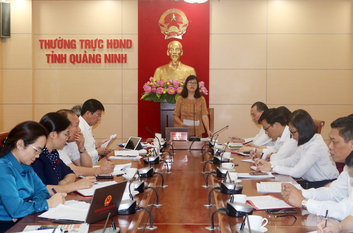 Đồng chí Nguyễn Thị Huệ, Trưởng Ban Pháp chế HĐND tỉnh phát biểu kết luận cuộc họp thẩm tra.