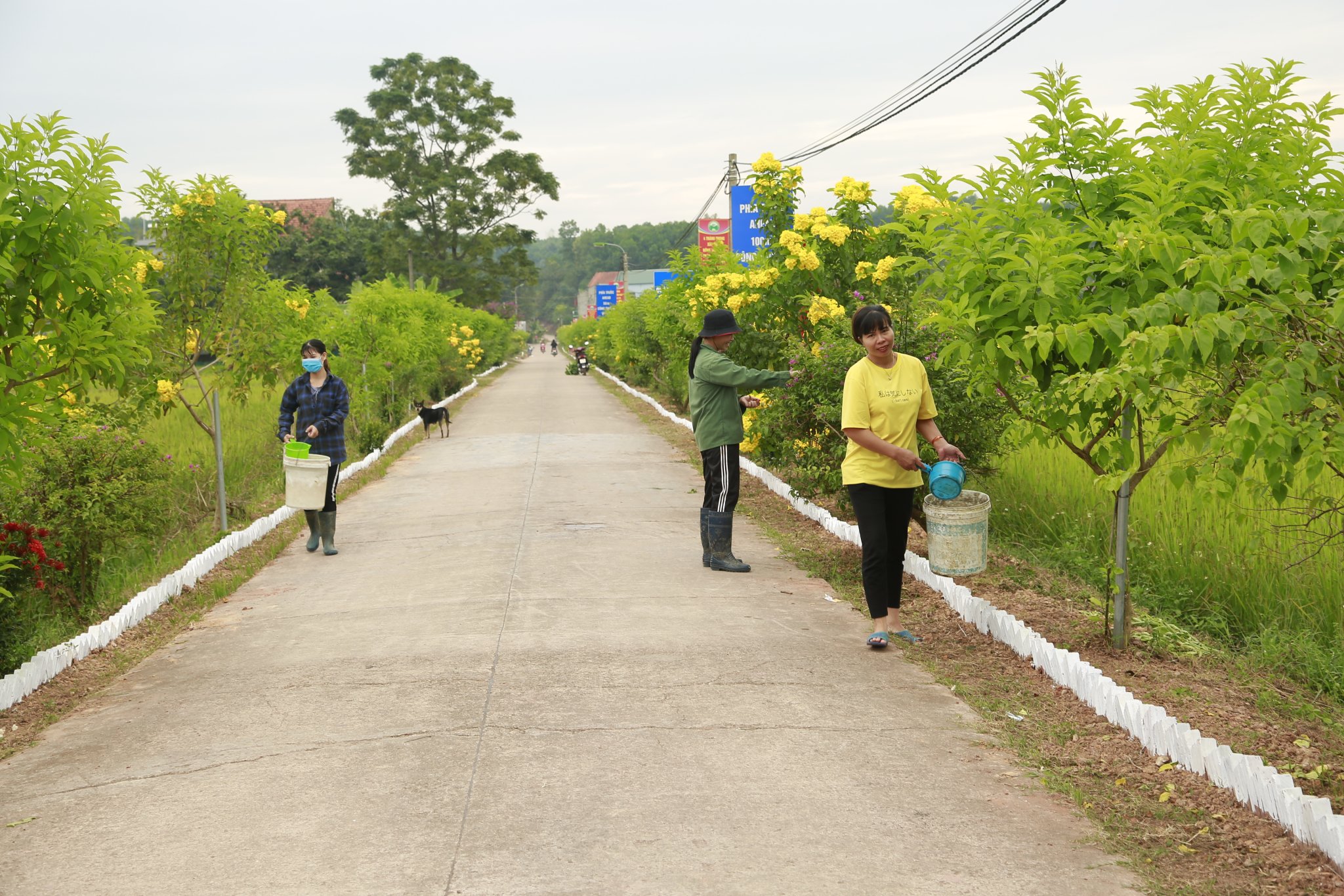 Chị em phụ nữ chăm sóc tuyến đường kiểu mẫu thôn Khe Cạn, xã Đông Hải, huyện Tiên Yên
