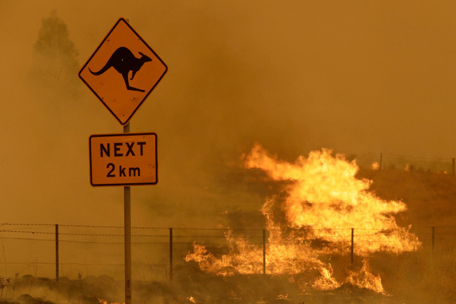 Cơ quan Cứu hỏa Nông thôn đã ban hành lệnh cấm lửa ở New South Wales ngày 29/11.(Ảnh: AP)