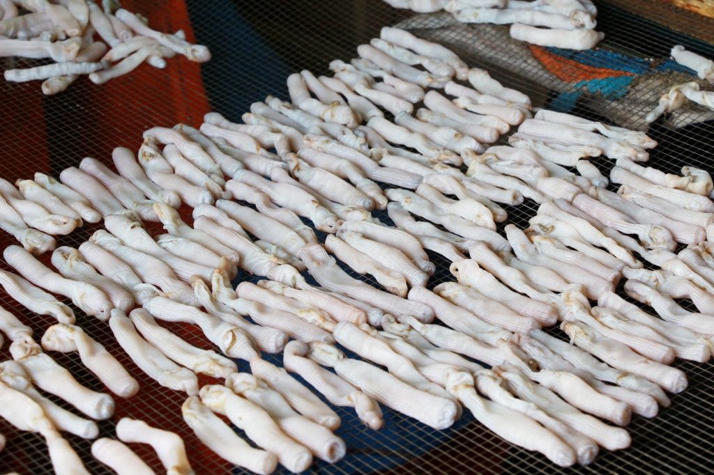 Sa sung is being dried.