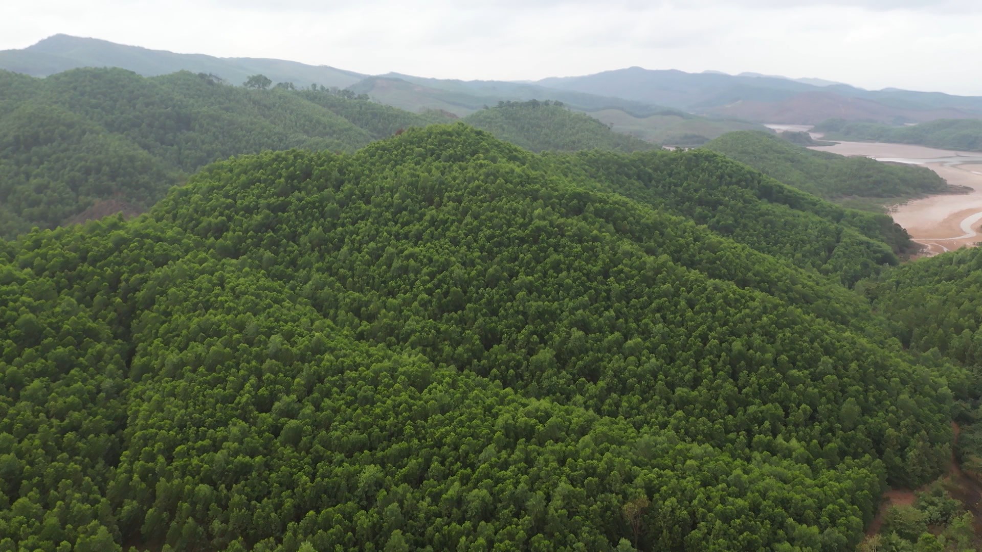 Hiện nay trên địa bàn tỉnh có trên 18.000 ha rừng gỗ lớn.