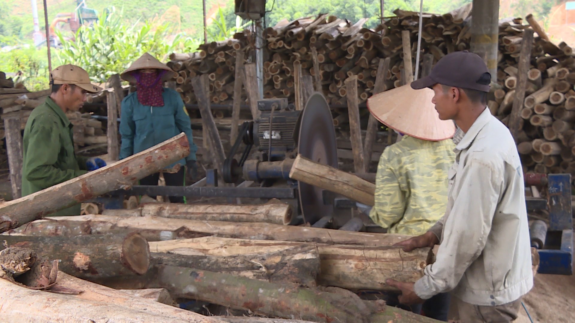 Chế biến gỗ tại Cụm công nghiệp Nam Sơn, huyện Ba Chẽ.