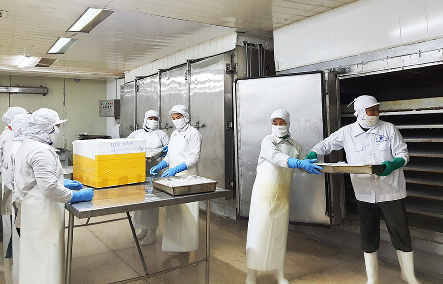 Các sản phẩm cấp đông xuất khẩu tại Công ty CP XNK thủy sản Quảng Ninh.