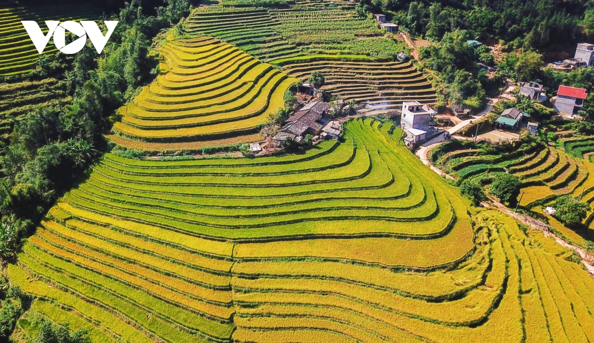 Nằm phía tây núi Cao Xiêm với độ cao từ 300 - 600m, ruộng bậc thang ở xã Lục Hồn, huyện Bình Liêu, tỉnh Quảng Ninh có cảnh quan vô cùng ấn tượng.