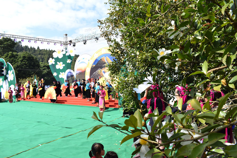 Ngày Hội Hoa Sở được diễn ra ở khu vực rừng sở xã Đồng Tâm, khi những bông hoa sở nở trắng núi rừng