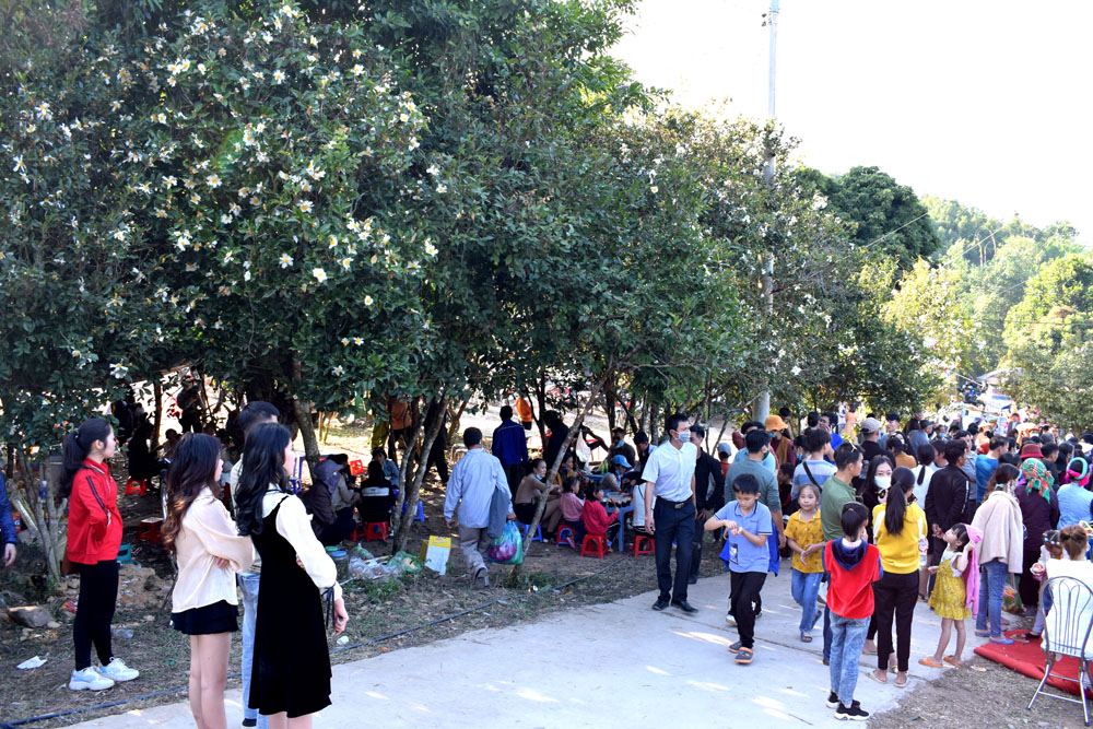 Rất đông đảo người đến trải nghiệm hoa sở tại xã Đồng Long, xã Đồng Tâm, huyện Bình Liêu nhân Hội Hoa Sở 2020