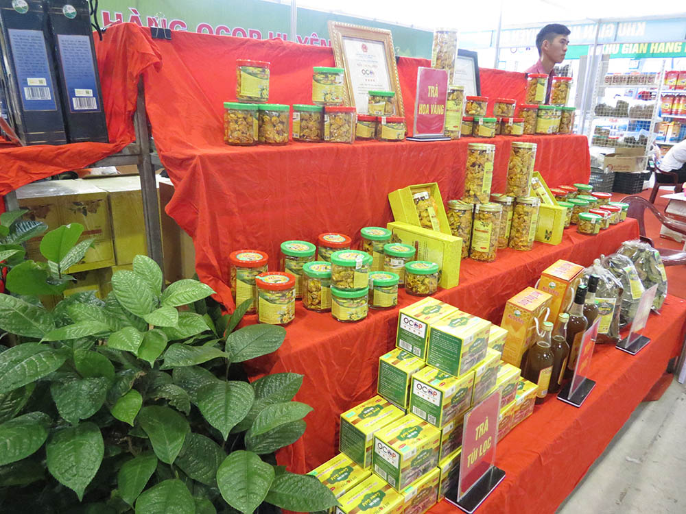 Trà hoa vàng của huyện Ba Chẽ đã khẳng định được chỗ đứng trên thị trường.