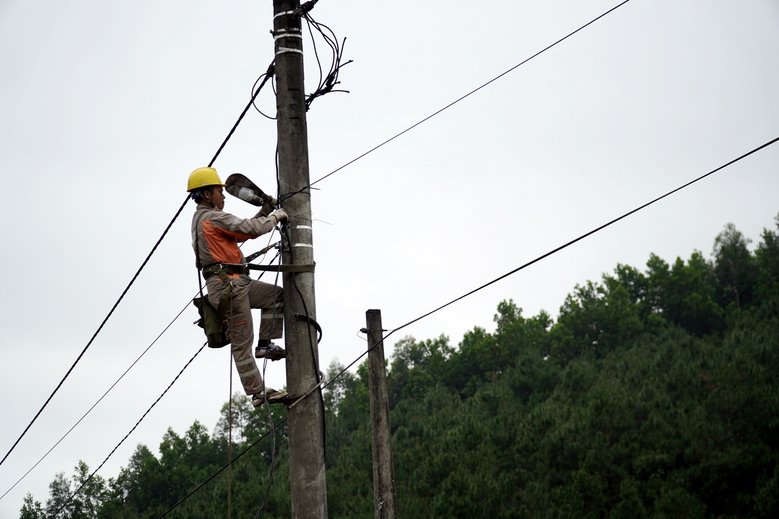 Công nhân Điện lực huyện Ba Chẽ lắp đặt