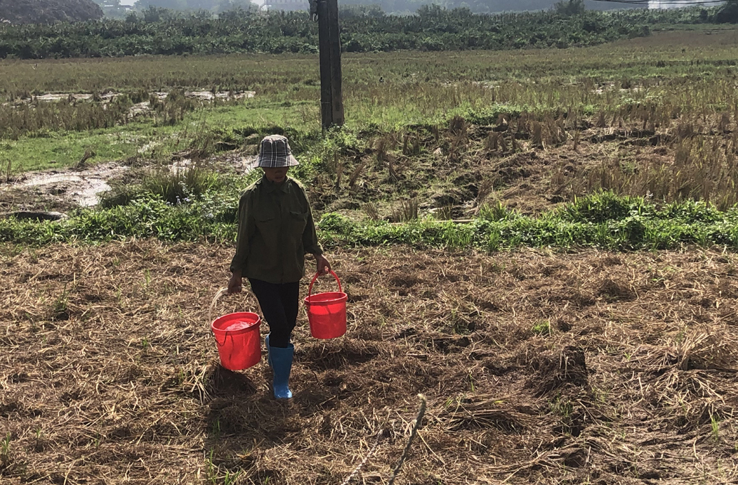 Người dân thôn 6, xã Quảng Phong, huyện Hải Hà vẫn phải xách nước từ giếng về sử dụng nhưng nguồn nước cũng koong đảm bảo.