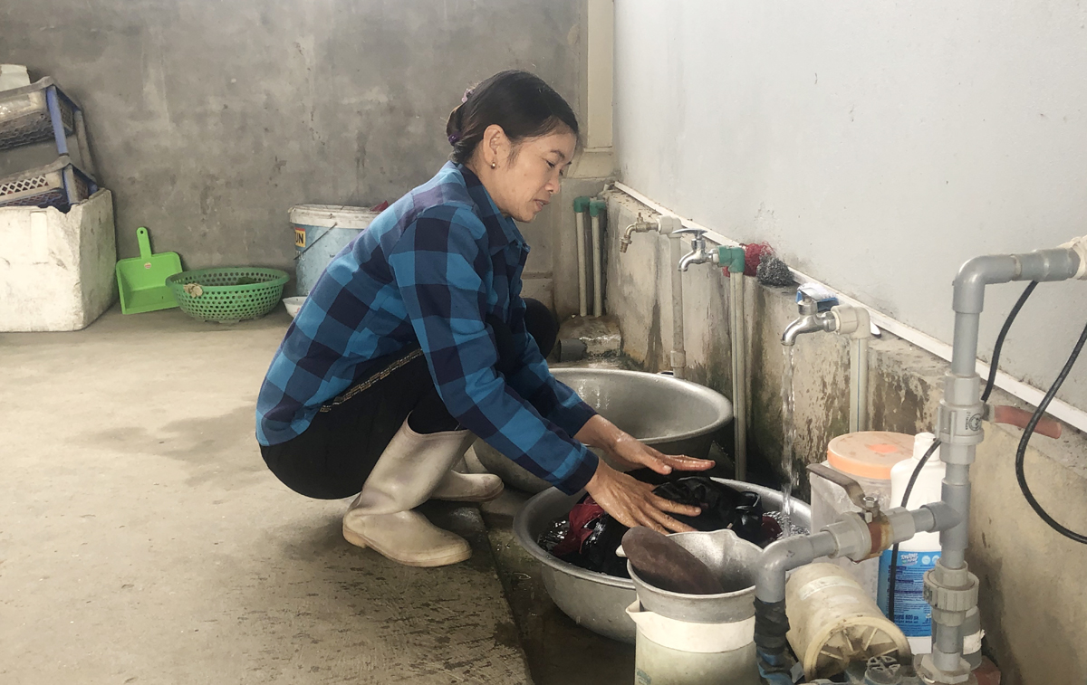 Tại xã Quảng Minh, huyện Hải Hà hệ thống đường ống được dẫn đến các hộ nhưng nhiều hộ lại không có nhu cầu sử dụng nước máy mà vẫn sử dung nước giếng khoan.