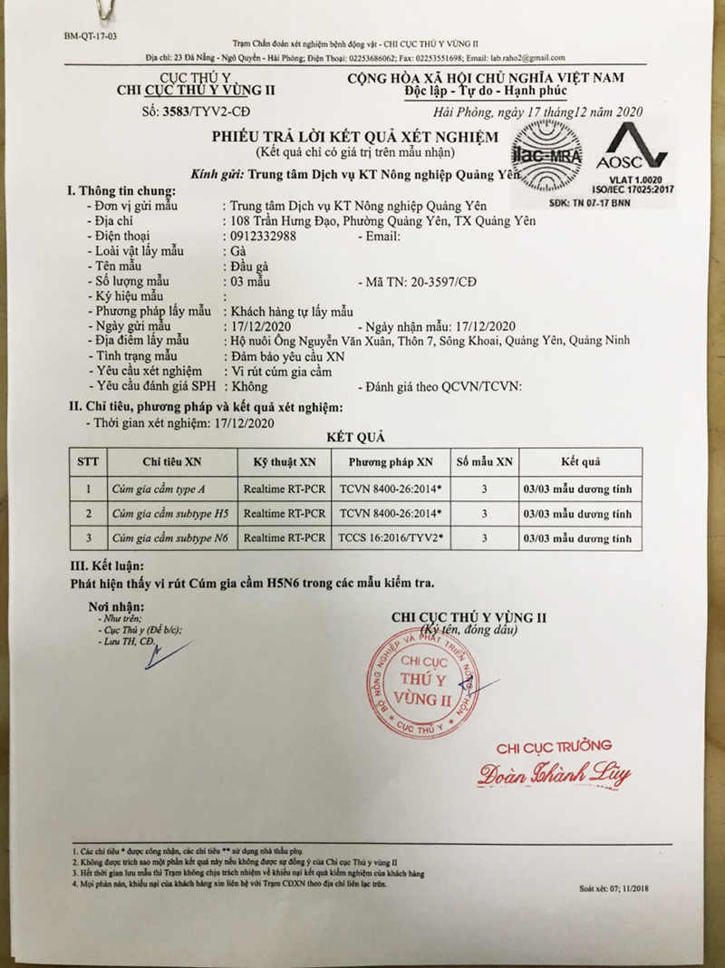 Đàn gia cầm hộ ông Nguyễn Văn Xuân nhiễm vi rút cúm H5N6.