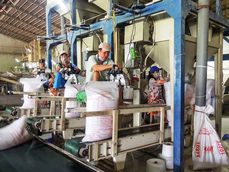 Xuất khẩu gạo Việt Nam sang nhiều thị trường tăng mạnh.